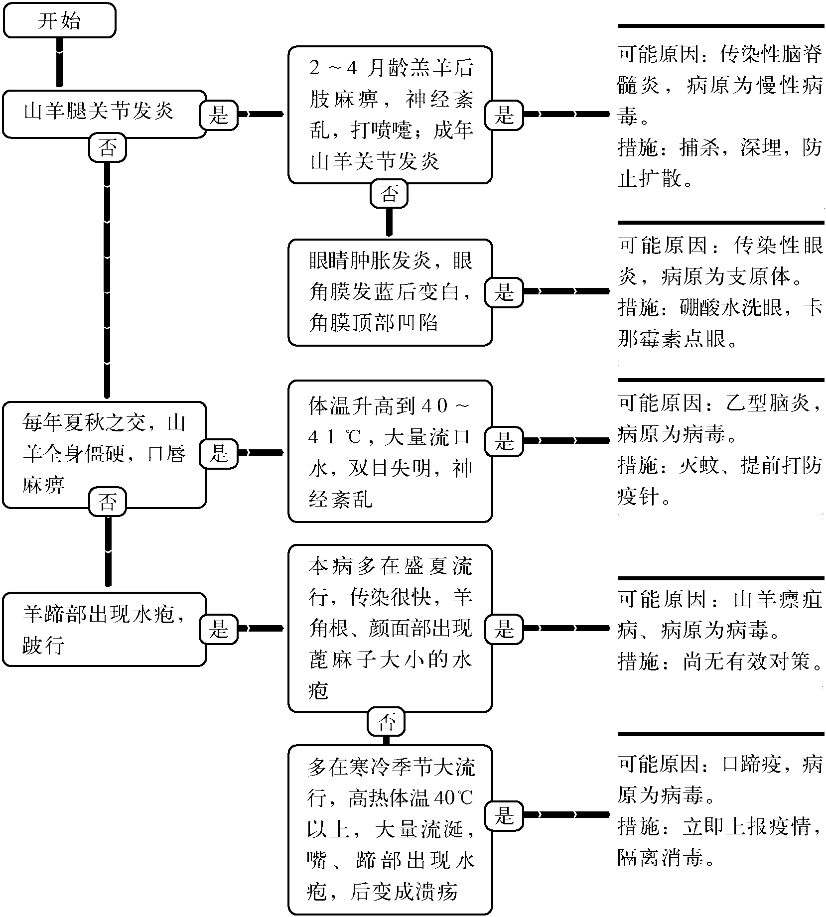 48.山羊常見病毒性傳染病